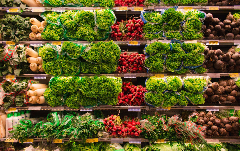 Maximum Benefits and Income Limits of SNAP in 2025-2026